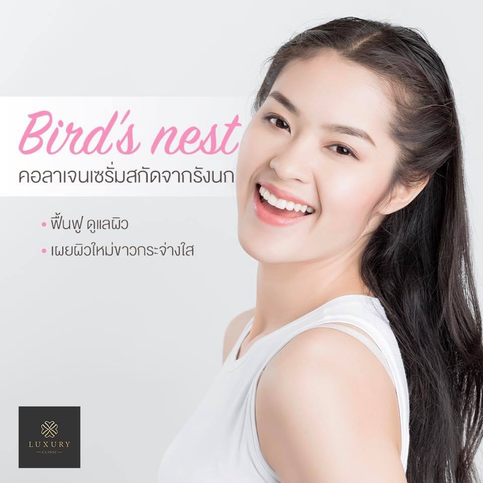 luxury-bird-nest3