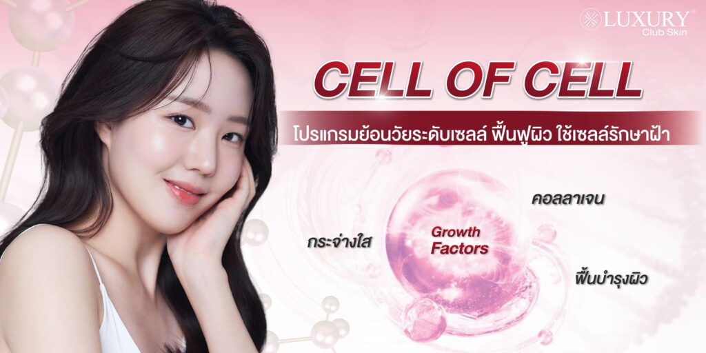 โปรแกรม Cell of cell