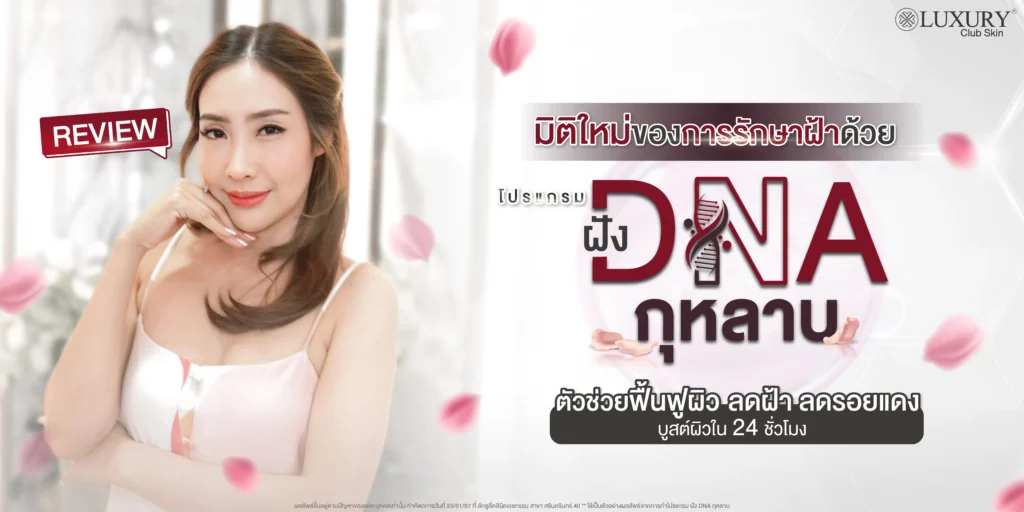 โปรแกรมฝัง DNA กุหลาบ
